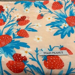 Posh Peanut Swaddle w/ headband